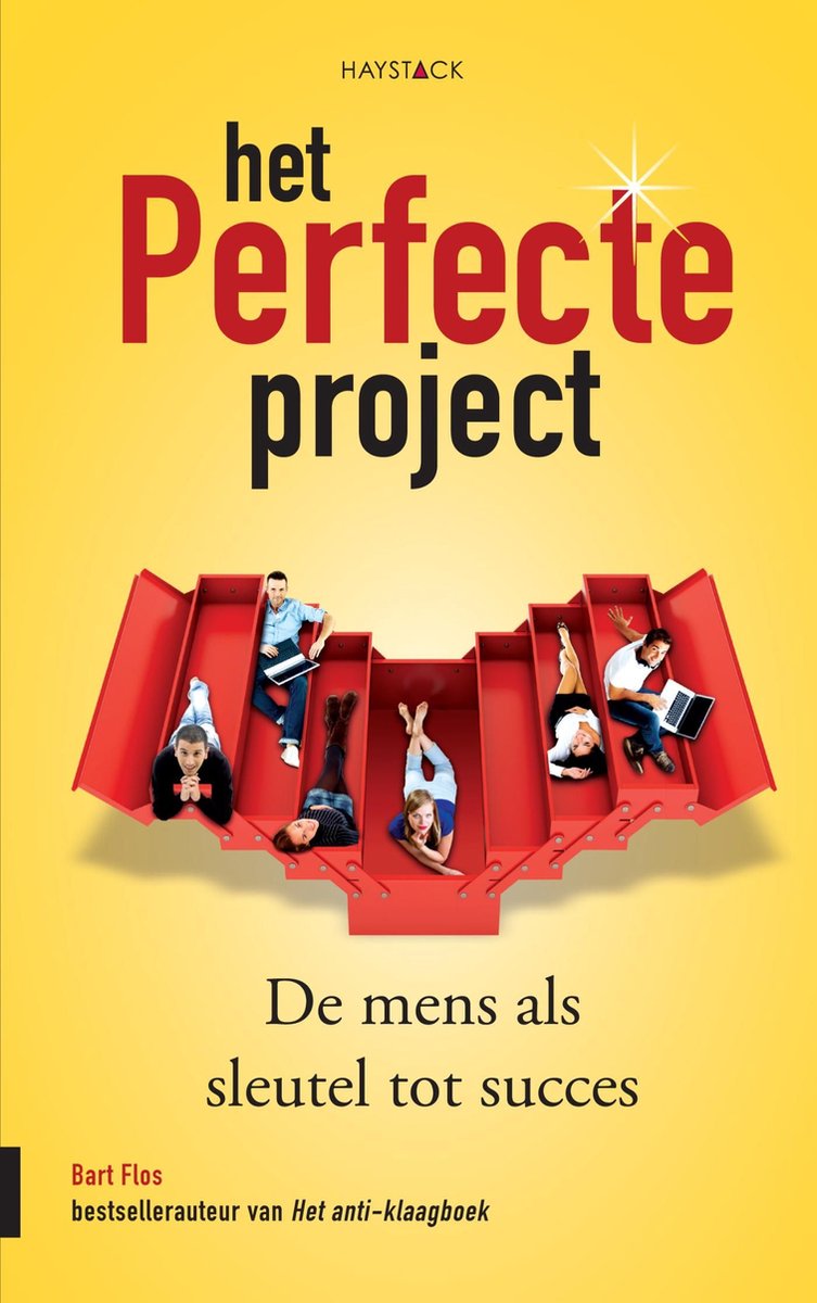Omslag van Het perfecte project