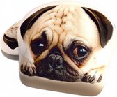 hoofdkussen Mops 40 cm polyester crÃ¨me