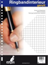 ringbandpapierÂ geruit 23-rings wit 100 vellen