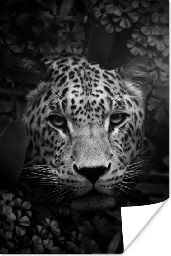 Poster Close-up van een panter met bloemen in de jungle - zwart wit - 20x30 cm