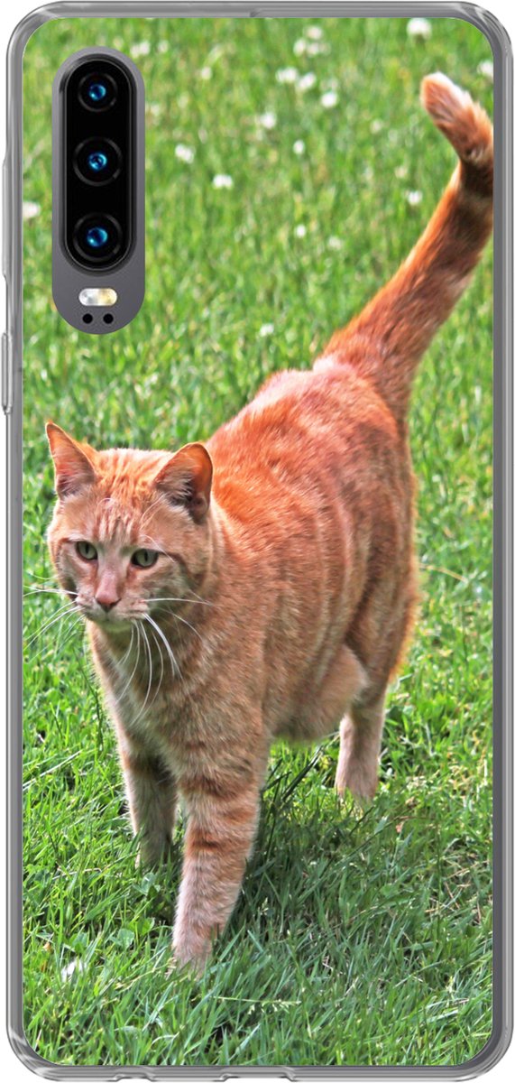 Telefoonhoesje Geschikt voor Huawei P30 hoesje - Kat - Rood - Kater - Meisjes - Kinderen - Jongens - Kind - Siliconen Telefoonhoesje Telefoonhoesje