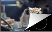 KitchenYeah® Inductie beschermer 78x52 cm - Een eenzame kitten huilt om voedsel - Kookplaataccessoires - Afdekplaat voor kookplaat - Inductiebeschermer - Inductiemat - Inductieplaat mat