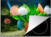 KitchenYeah® Inductie beschermer 75x52 cm - Vissen in een aquarium - Kookplaataccessoires - Afdekplaat voor kookplaat - Inductiebeschermer - Inductiemat - Inductieplaat mat