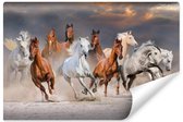 Fotobehang Kudde Galopperende Paarden - Vliesbehang - 416 x 254 cm