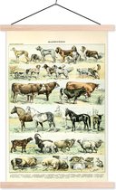 Posterhanger incl. Poster - Schoolplaat - Dieren - Paarden - Illustratie - Vintage - Adolphe Millot - 40x60 cm - Blanke latten