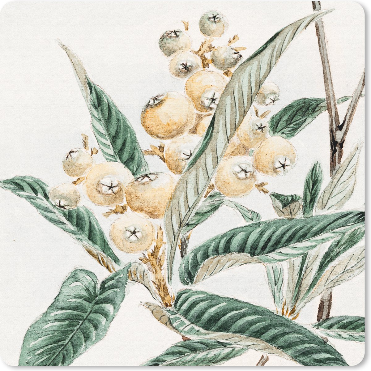 Muismat 30x30 cm - Mousepad Fruit - Bladeren - Vintage - Japans - Scandinavisch - Muismatten