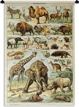 Wandkleed - Wanddoek - Dieren - Kameel - Giraffe - Vintage - Adolphe Millot - 60x90 cm - Wandtapijt