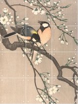 IXXI Koolmezen op bloesemtak - Wanddecoratie - Vogels - 60 x 80 cm