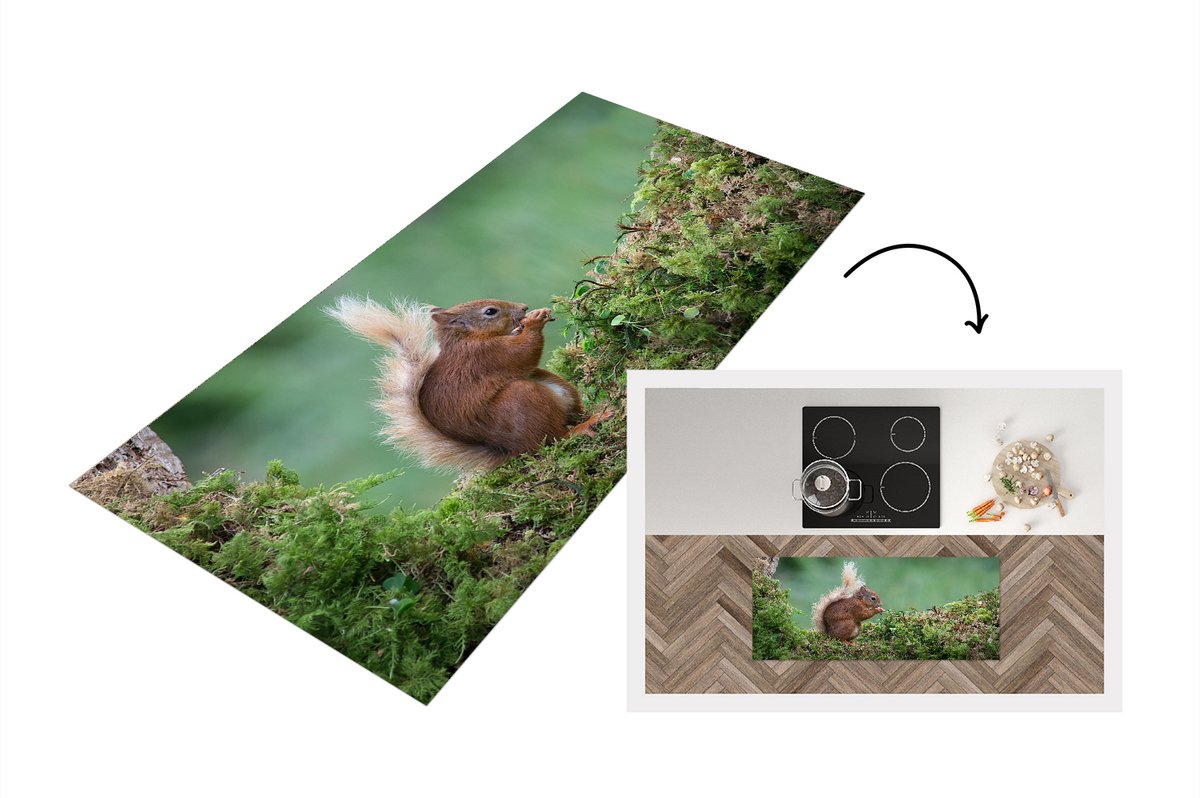 KitchenYeah Keukenloper - Loper keuken - Eekhoorn - Bos - Mos - Keukenloper vinyl Multicolor