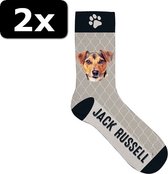 2x - SOKKEN JACK RUSSELL 42-45