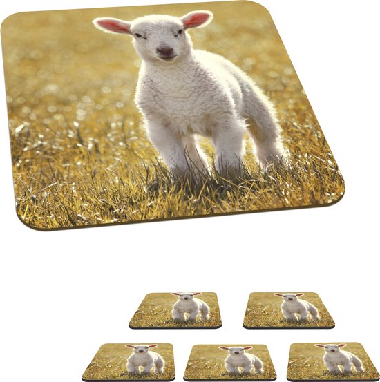 Vaguelly 24 stuks sleutelhangers voor schapen, schaap, sleutelhanger
