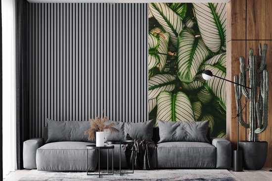 Papier Peint - Papier Papier peint photo Feuilles - Plante - Vert - Largeur 120 cm x Hauteur 240 cm