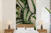 Papier Peint - Papier Papier peint photo Feuilles - Plante - Vert - Largeur 120 cm x Hauteur 240 cm