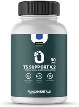 Fundamentals Ginseng & Sarsaparilla - TS Support V2 - Chroom - Vitamine B - DMAE - 90 Caps - Voedingssupplement