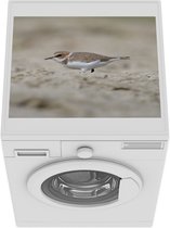 Wasmachine beschermer mat - Een strandplevier loopt op het strand - Breedte 55 cm x hoogte 45 cm