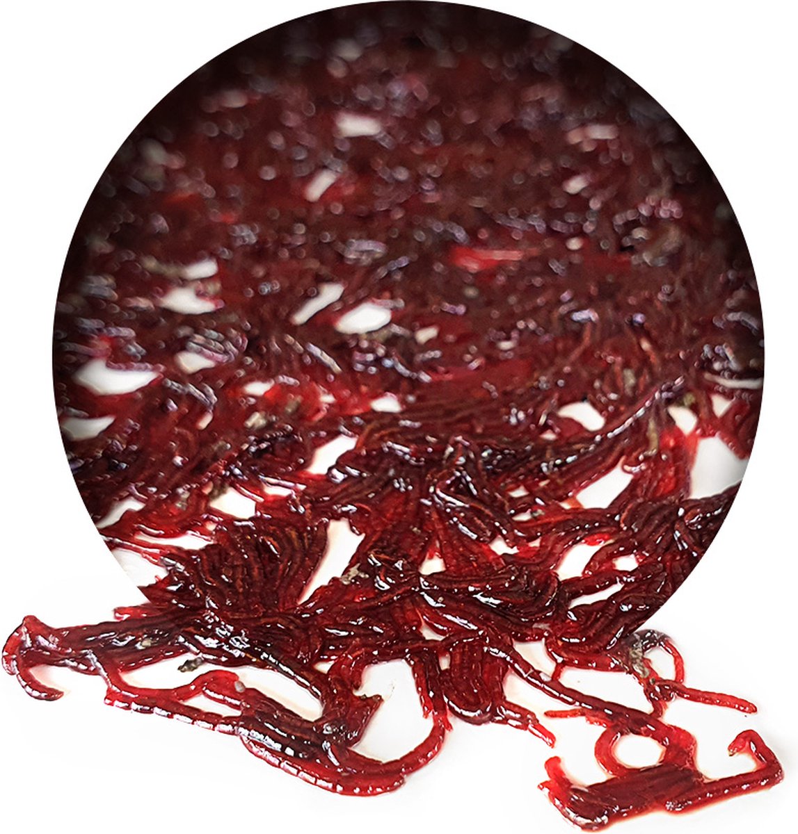 Bloodworm Vers | Rode Muggenlarven | Natuurlijk Aas | Karpervissen | Karper Aas | Karper Vissen | Karper Voer | Karper