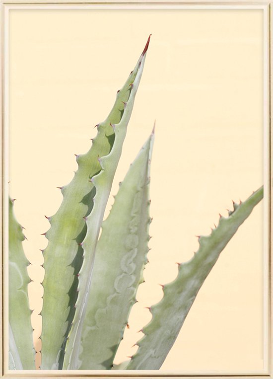 Poster Met Lijst - Abstracte Cactus Poster (21x30cm)