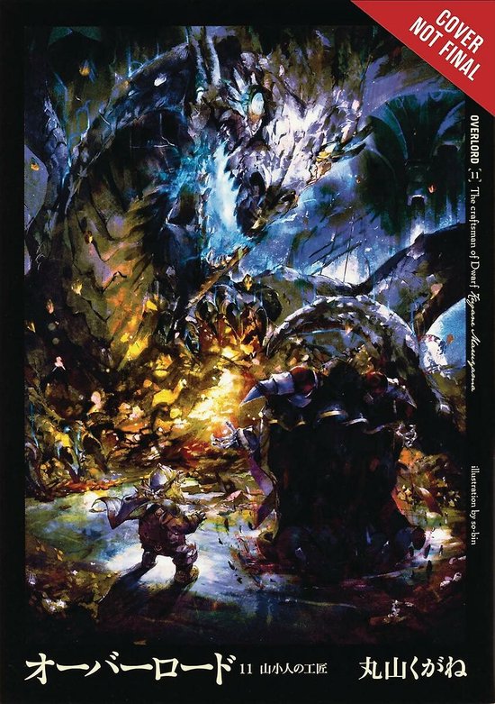 Overlord, Vol. 11 (light novel) - cover