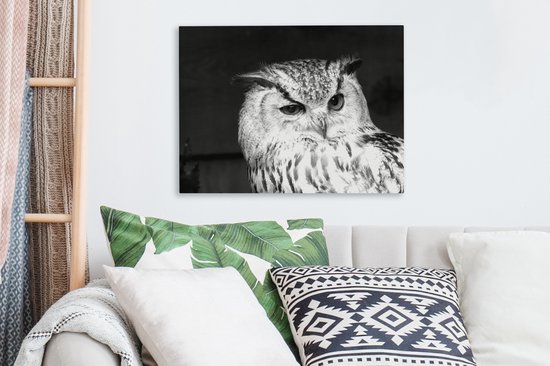 Canvas schilderij 40x30 cm - Wanddecoratie Bruine uil geeft een knipoog - Muurdecoratie woonkamer - Slaapkamer decoratie - Kamer accessoires - Schilderijen op canvas