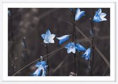 Poster Met Witte Lijst - Blauwe Bellen Bloemen Poster