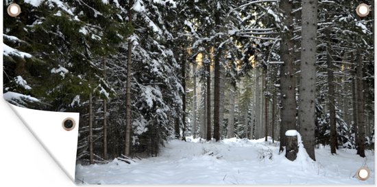 Schuttingposter De winterbomen in het bos bij Wenen in Oostenrijk - 200x100 cm - Tuindoek