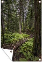 Un escalier en bois dans les forêts canadiennes du Parc National du Mont Revelstoke affiche de jardin 120x180 cm - Toile de jardin / Toile d'extérieur / Peintures d'extérieur (décoration de jardin) XXL / Groot format!