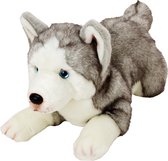 Pluche knuffel dieren Husky hond 34 cm - Speelgoed knuffelbeesten - Honden soorten