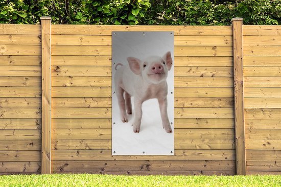 Affiche de clôture Cochon - Animaux - Wit - 100x200 cm - Toile de jardin