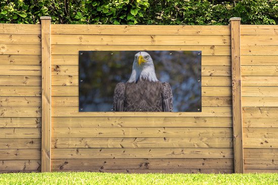 Affiche de clôture Un pygargue à tête blanche américain est assis sur un poteau en bois - 200x100 cm - Toile jardin