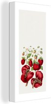 Canvas Schilderij Aardbeien - Eten - Fruit - 40x80 cm - Wanddecoratie