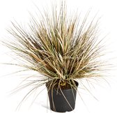 Grass Onion Brown - kunstplant