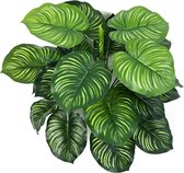 Calathea Orbifolia - kunstplant