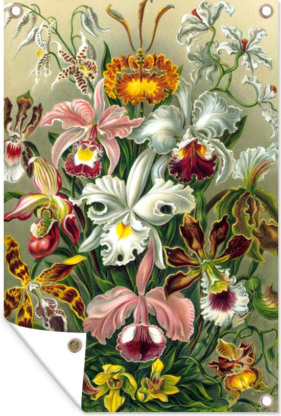 Tuinposter - Tuindoek - Tuinposters buiten - Planten - Natuur - Bloemen - Ernst Haeckel - 80x120 cm - Tuin