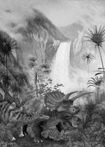 Komar Jurassic Waterfall Vlies Fotobehang 200x280cm 4-Banen
