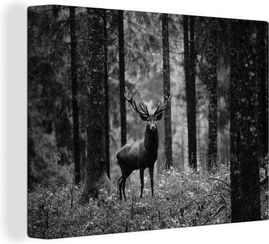 Tableau sur toile Cerf c est la for t noir et blanc 40x30 cm