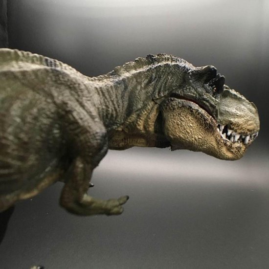 CaCaCook Tyrannosaurus Rex, dinosaurusspeelgoed, realistische grote