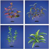 Aquarium plant alternanthera 15 cm polyester