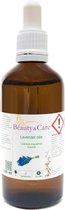 Beauty & Care - Lavendel olie - 100 ml - Etherische olie