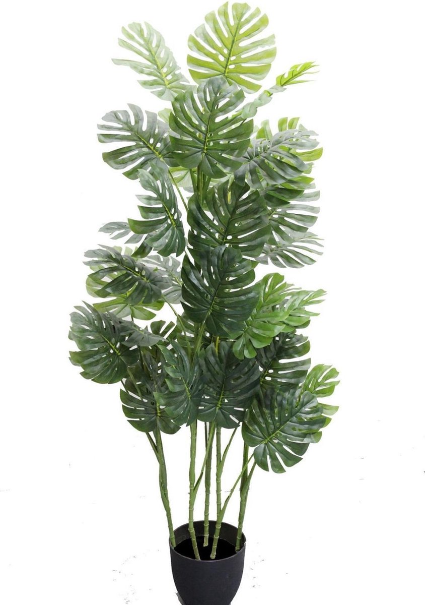 Monstera i/pot h140cm groen