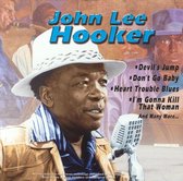 John Lee Hooker [Platinum]