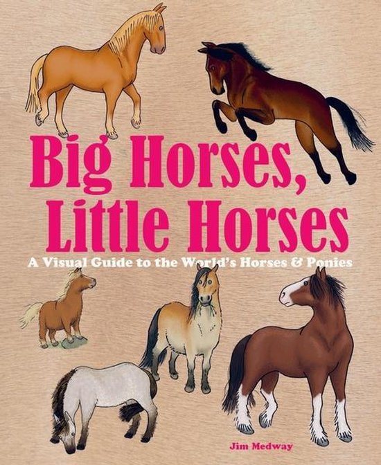 Boek cover Big Horses, Little Horses van Jim Medway
