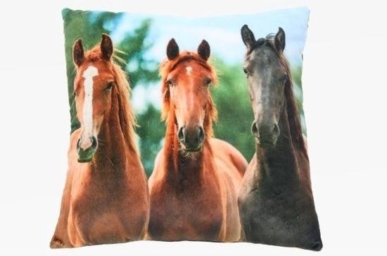 Sierkussen met paarden print 35 cm - Dieren kussentjes met paarden opdruk 35 cm
