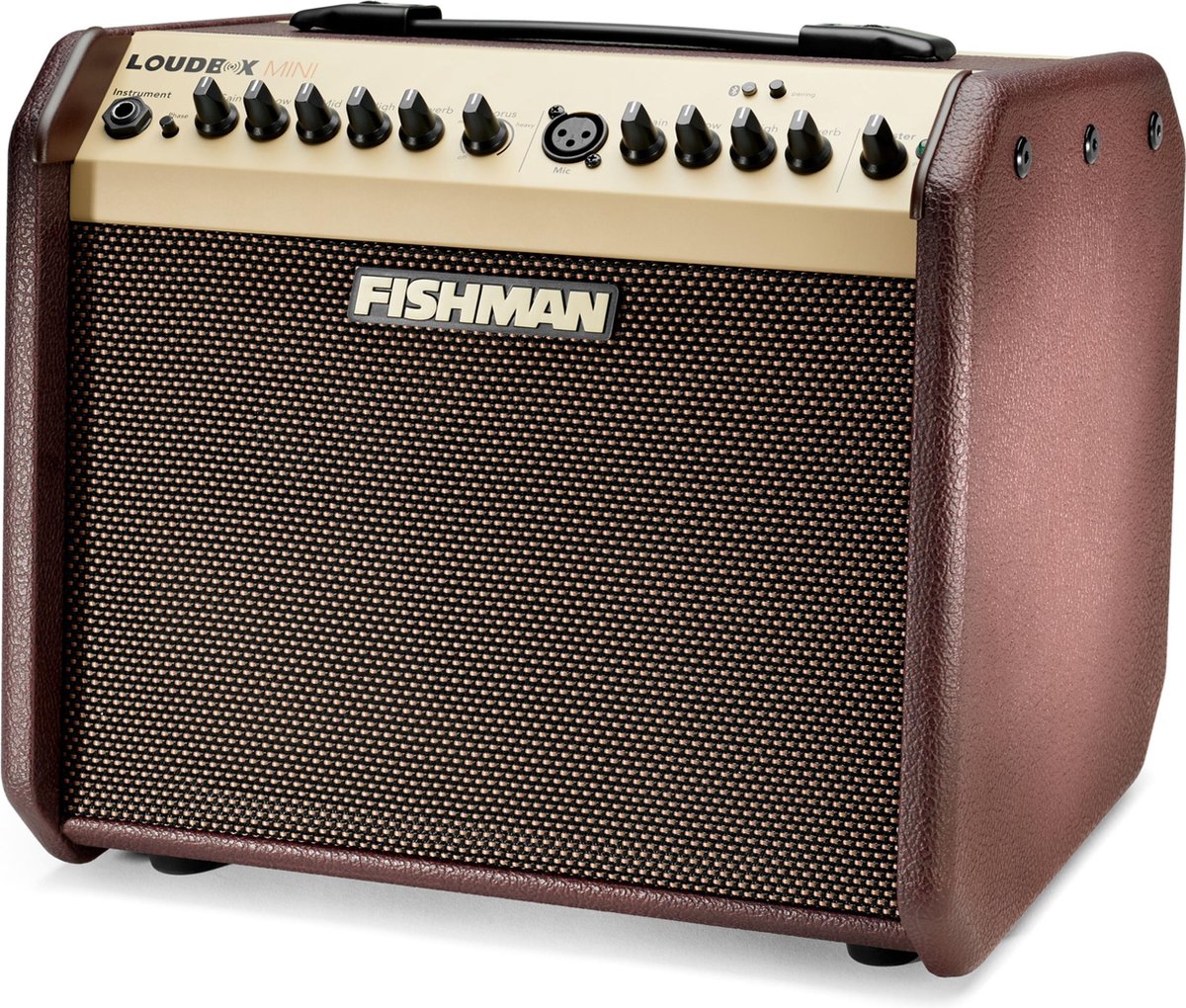 Fishman Loudbox Mini