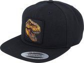 Hatstore- Kids Dinosaur T-rex Bite Black Snapback - Kiddo Cap Cap