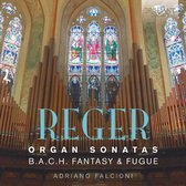 Adriano Falcioni - Reger: Organ Sonatas, B.A.C.H. Fantasy & Fugue (CD)