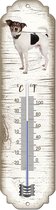 Thermometer: Boerenfox | Hondenras | Temperatuur binnen en buiten | -25 tot +45C
