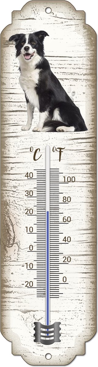 Thermometer: Bordercollie | Hondenras | Temperatuur binnen en buiten | -25 tot +45C