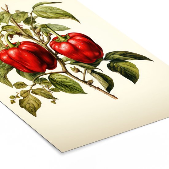 Cadre photo avec affiche - Cadre pour affiche 40x60 cm - Posters - Vintage - Plantes - Poivrons - Wit - Rouge - Nature - Décoration photo sous cadre - Décoration murale salon - Décoration murale chambre