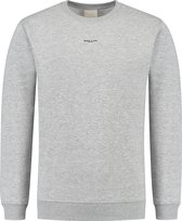 Ballin Amsterdam - Heren Regular fit Sweaters Crewneck LS - Grey - Maat S