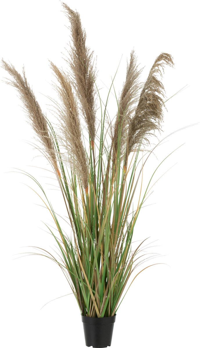 J-Line decoratie pampas Gras 5 Koppen in pot - pvc - groen/beige - small